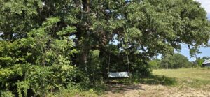 swing